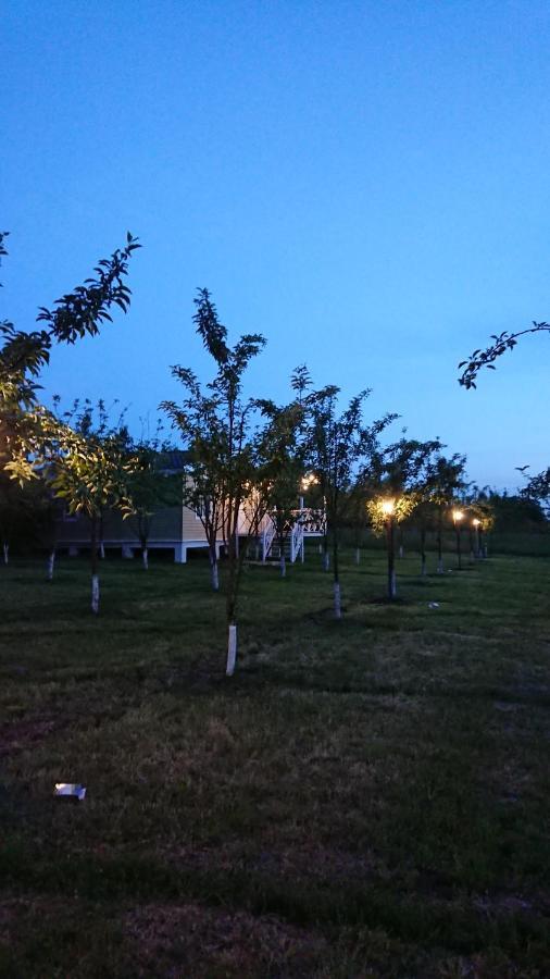 Our Garden Apartment Vendam Ngoại thất bức ảnh